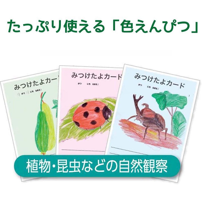 ぺんてる クレヨン色えんぴつ パスティック GC1-12D 12色