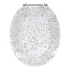 Ginsey Home Solutions Elongated Resin Toilet Seat, Silver Foil