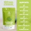HYBRID HERBS Mushroom Complex Powder 100g – 10X Strength Blend