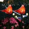 Afirst Solar Outdoor Lights Decorative - Solar Garden Stake Lights