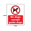 2 Pack - No Dogs Except Guide Dogs, Door Window