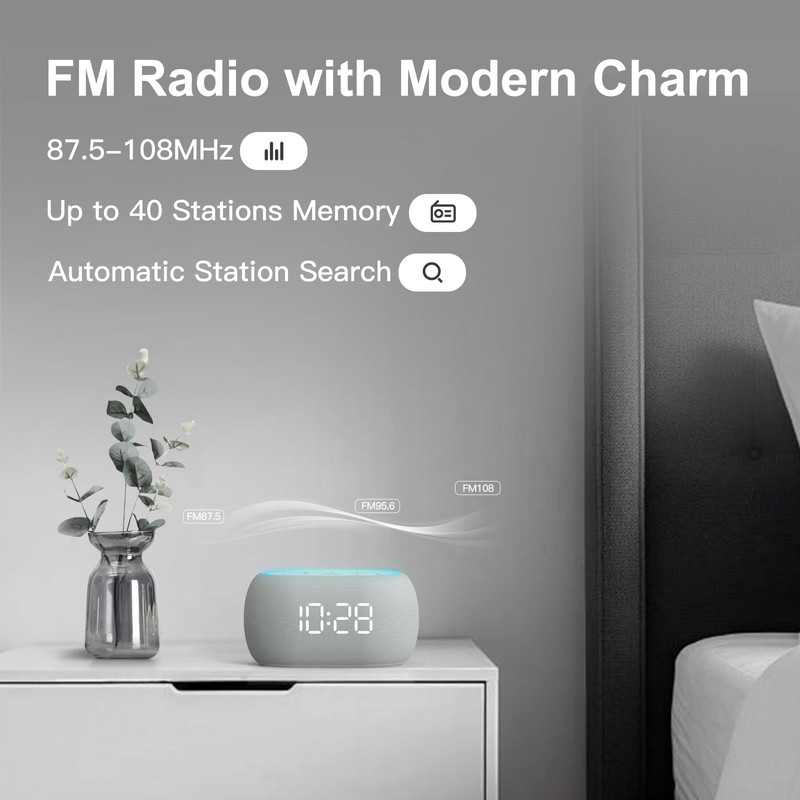 ANJANK Digital Clock Radio