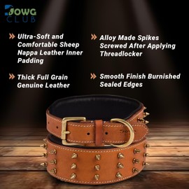 DowgClub | Genuine Leather Spike Dog Collar | Full Grain, Heavy Duty | Padded, Comfortable, Strong, Best for Large, X-Large Breeds | 2" Wide (XL (Fit Neck Size 21.5"-25.5"), Brown - Gold Spikes)