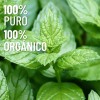 Oleum Vitae Aceite Esencial 100% Puro De Menta 120ml