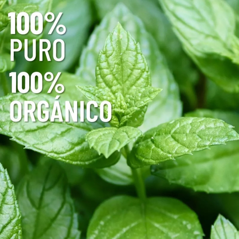 Oleum Vitae Aceite Esencial 100% Puro De Menta 120ml