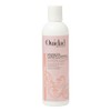 OUIDAD Advanced Climate Control Defrizzing Conditioner, 8.5 Fl Oz