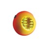 Major Craft TM-HEAD250/#5 GOLD/ORANGE Tyrava Head Red Bag, 8.8 oz