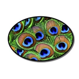 AK Wall Art Peacock Feathers Oval Vinyl Sticker - SELECT SIZE - (A) X-Small: 2.5"