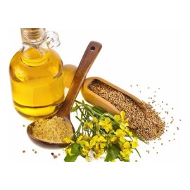 Aceite Jye Mostaza Puro Y Natural 60ml