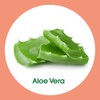 Sagrotan Aloe Vera Hand Soap Liquid Soap, 1-Pack, 250 ml