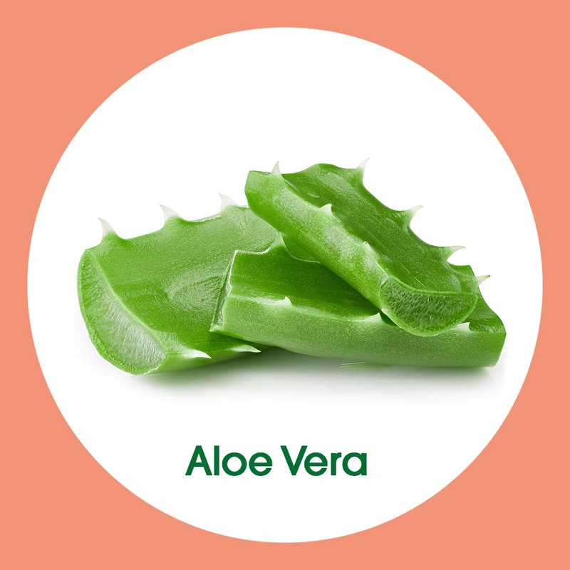 Sagrotan Aloe Vera Hand Soap Liquid Soap, 1-Pack, 250 ml