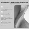 Xiulilydai Permanent Silver Hair Dye, 100g, Long-Lasting Grey Tone, Nourishing