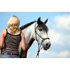 Hunters Saddlery Natural Horsemanship Rope Halter Headcollar Compatible with Parelli