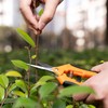2 Pack Professional Pruning Shears, Trimming Scissors - Straight Tip,