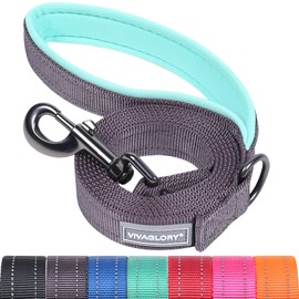 VIVAGLORY Dog Lead, Dog Walking Lead with Comfortable Padded Handle, Reflective for Safety, Heavy Duty Training Lead for Medium & Large Dogs
