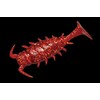 JACKALL Worm, Mini Chinu-Bug, 1.5 Inches