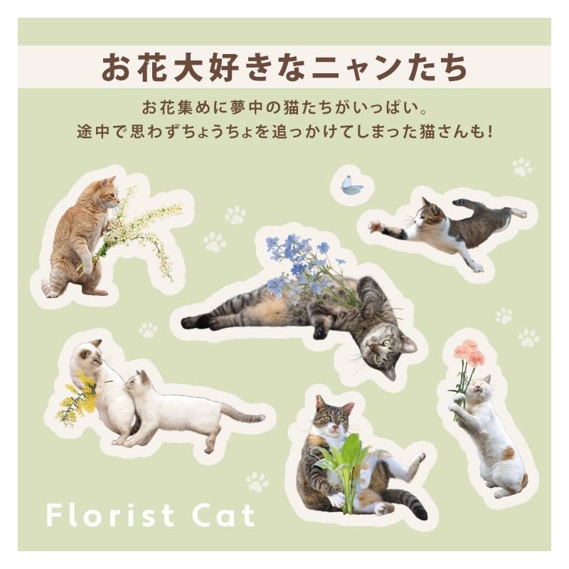 [2024] Wpc. [Vinyl Umbrella] Masayuki Oki x Wpc. Paw Plastic