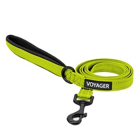 Voyager Reflective Dog Leash with Neoprene Handle, 5ft Long, Supports Small, Medium, and Large Breed Puppies, Cute and Heavy Duty for Walking, Running, and Training - Lime Green (Leash), M