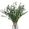 HIAGROW Real Eucalyptus Stems Greenery Decor 20PCS 17" Dried Willow