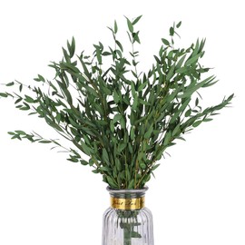 HIAGROW Real Eucalyptus Stems Greenery Decor 20PCS 17" Dried Willow Eucalyptus Plant Preserved Greenery Stems for Home Vase Filler Wedding Flowers Arrangement Spring Decorations