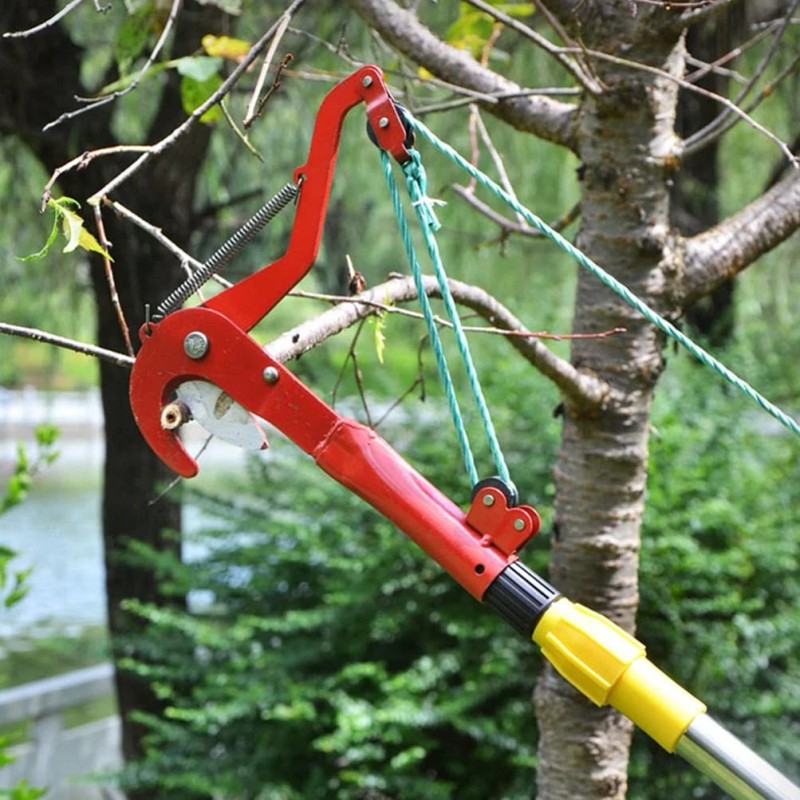 Angoily Tree Pruner Manual Pole And Tree Pruner Harvester Gardening