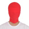 Black Omen bs600-0-m-rd Full Head Mask, 2 Sizes, Large Available,