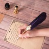 AOMAYLL Quill Pen Ink Set, Calligraphy Pen Ink Set with