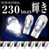 Bubu-Material T10 LED White 7000K Vehicle Inspection Compatible TYPE-EVO Gently