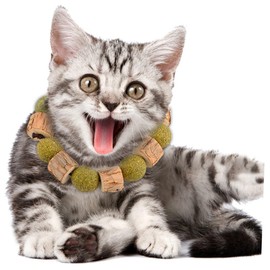 Kisangel 3pcs Catnip Sticks for Cats Cat Nip Toy Vine Cleaning Teeth Digestion Aid