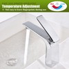 TOCALOCA Bathroom Sink Faucet Chrome Single Handle 1 Hole Vanity
