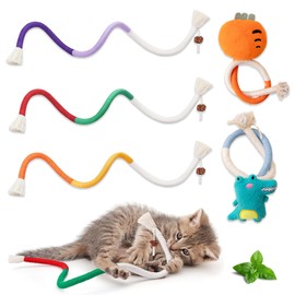 DAVBNM 5 Pack Catnip Toys for Indoor Cats, 70cm Interactive Cat Rope Toys, Snaky Rope Toys with Gall Fruit for Cat Playing Chewing Teeth-Cleaning