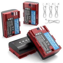 4 Pack LP-E6P Battery with LED Indicator Type-C Charging Port, Compatible with Canon EOS R5 R6 5D 6D 7D Mark II, EOS 5D III IV 5DS 5DS R 60D 60Da 70D 80D 90D Backup Battery for LP-E6NH LPE6N LP-E6