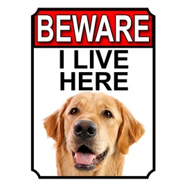 SHAWPRINT BEWARE I LIVE HERE METAL GATE SIGN GOLDEN RETRIEVER 200MM X 10MM (1067H1)