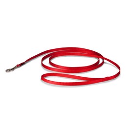 PetSafe Nylon Dog Leash – Strong, Durable, Traditional Style Leash with Easy to Use Bolt Snap for Small, Medium and Large Dogs – 3/8" x 6', Red