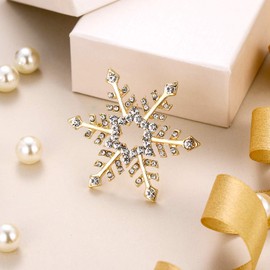EVER FAITH Austrian Crystal Elegant Winter Snowflake Star Brooch Pin Clear, Crystal