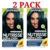 Garnier Nutrisse Ultra Color Cream With Triple Oils Permanent TL1,