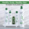CHI Powerplus Scalp Renew System Exfoliate Shampoo 32oz, 2