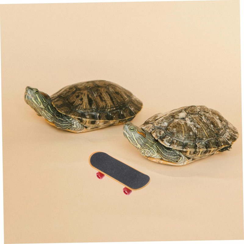Levemolo Pet Turtle Skateboard Bearded Dragon Scooter Accessories for Tortoises