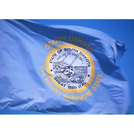 Allied Flag - 3' x 5' Outdoor Nylon South Dakota State Flag - Made in USA - Vivid Color and Fade Resistant - Reinforced Hem and Brass Grommets