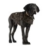 Carhartt Men's Firm Duck Insulated Dog Camo Chore Coat, Tarmac/Duck