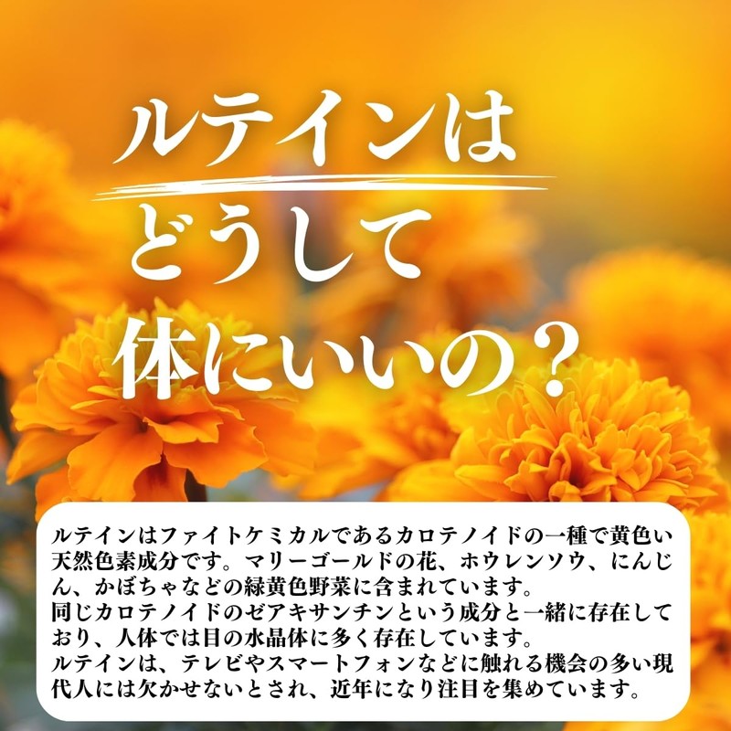 自然健康社 ルテイン パウダー 100g×2個 サプリ 粉末 ゼアキサンチン サプリメント フリー体