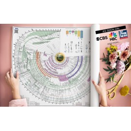 Bible Timeline History Chart: Tools for Studying Chronological Bible Timelines, Maps, and History Charts Multipurpose Classroom Material 45 x 37 x 0.2 in