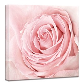 Pink Bathroom Decor - Pink Rose Close Up Canvas Wall Art Blush Pink Room Decor Aesthetic Light Pink Bedroom Decor Pink Artwork for Home Walls Floral Wall Pictures for Bathroom Wrapped 16x16inch