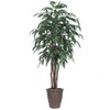 Vickerman 6' Artificial Mango Executive Tree, Brown Round Plastic Container.