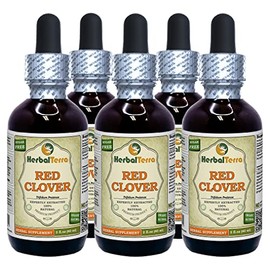 Red Clover (Trifolium Pratense) Tincture, Organic Dried Leaves Liquid Extract (Brand Name: HerbalTerra, Proudly Made in USA) 5x2 fl.oz (5x60 ml)