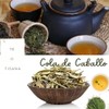 Cola De Caballo - 150gr de Té 100% Natural -Tisana