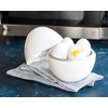 Nordic Ware Microwave Egg Boiler
