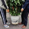 Potted Plant Mover and Lifting Straps for Garden, Landscaping Lifting
