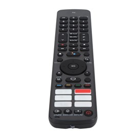 TV Remote Control Battery Powered TV Voice Remote Control for TX 43LXW704 TX 75LXW724 TX 43LX800E TX 50LXW724 TX 55LXW704 TX 65LXW704