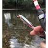Heddon Lures X9225XBW Zara Puppy Fishing Lures, Black Shore Minnow,
